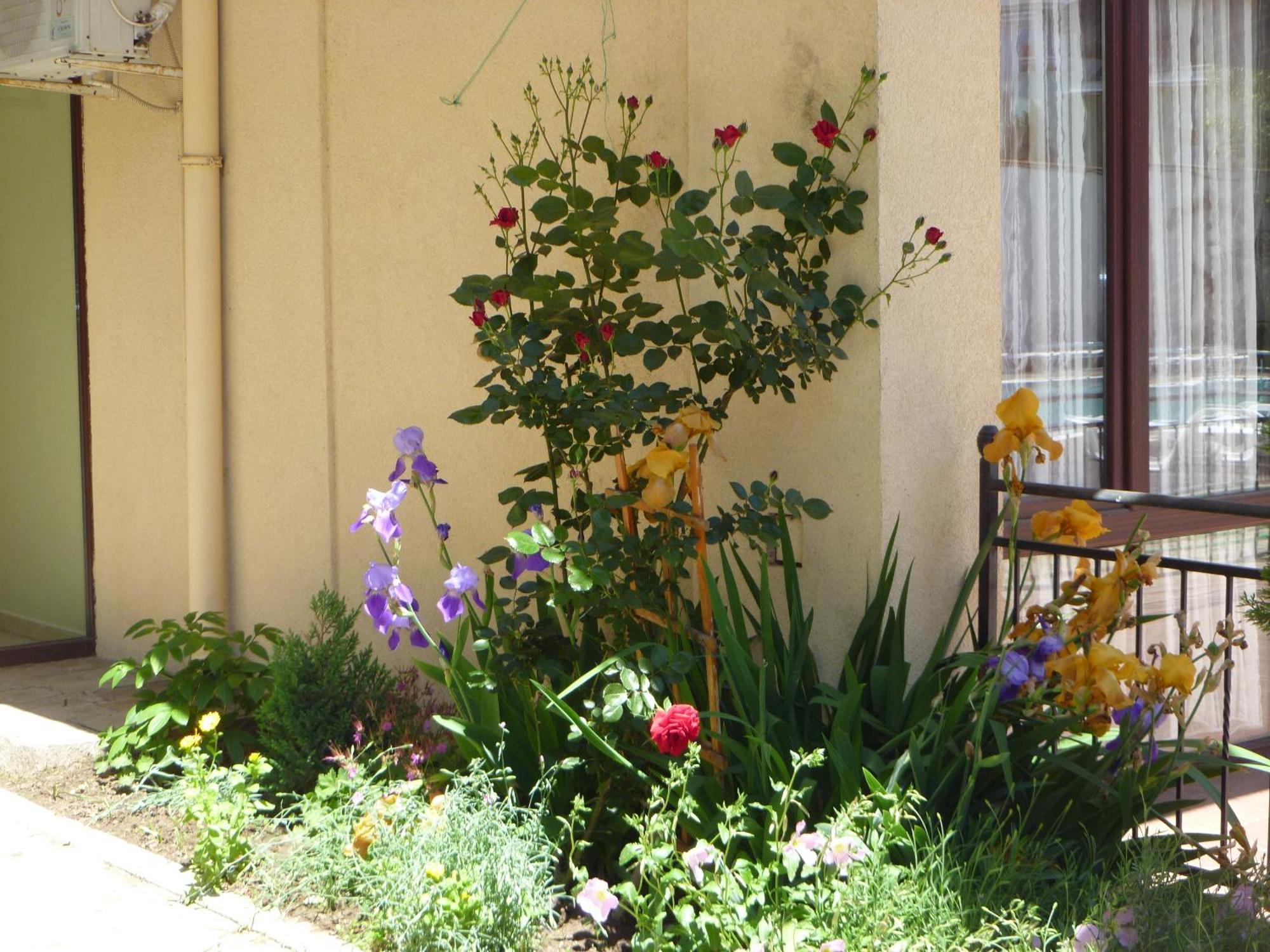 Aparthotel Rose Village Slantschew brjag Exterior foto